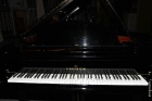 13 Dicembre 2011_12